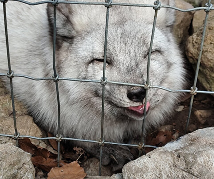Domaine Des Grottes De Han-Han-sur-Lesse必去景点