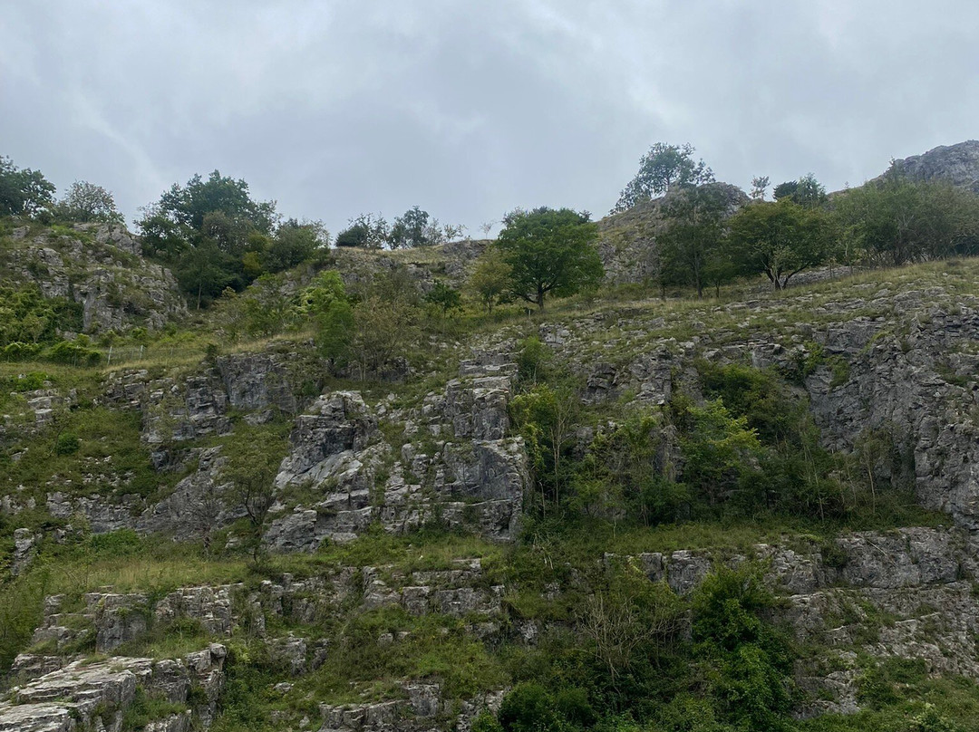 Cheddar Gorge-Cheddar必去景点