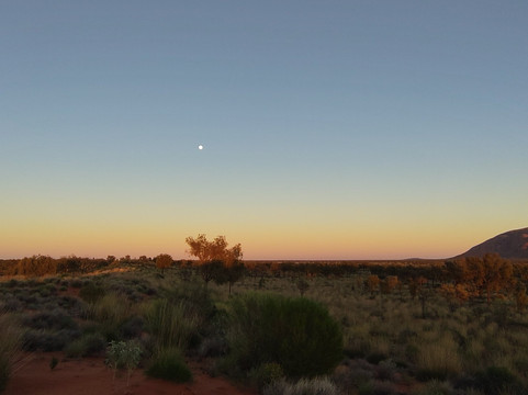 Mulgas Adventures-爱丽斯泉必去景点