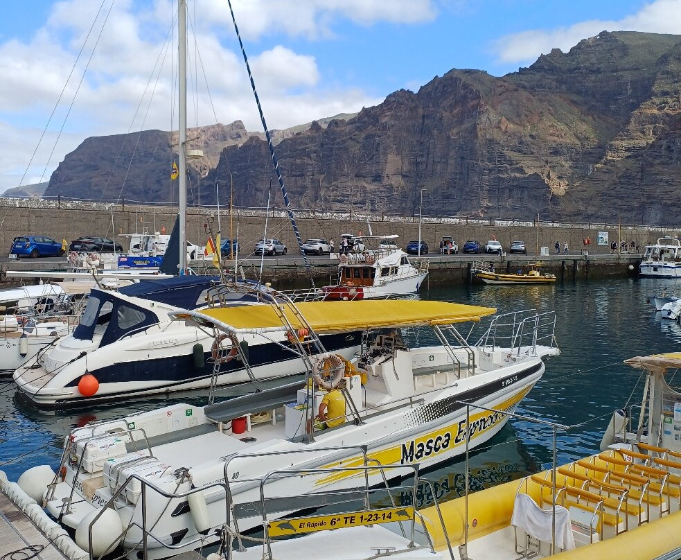 Puerto Deportivo Los Gigantes-洛斯·吉甘特斯必去景点