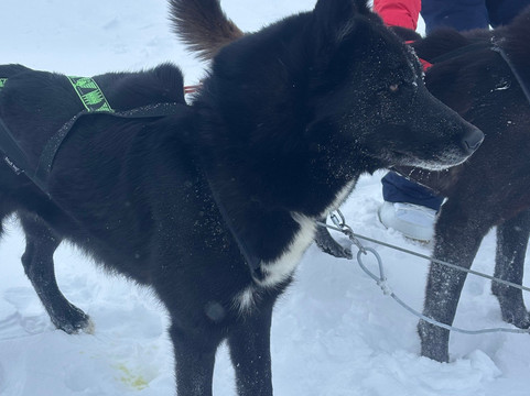 Alpi Traineau-Orcieres必去景点