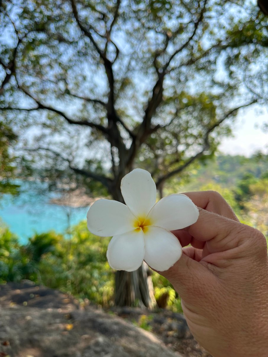 苏梅岛通塞湾悦柳酒店-浴室