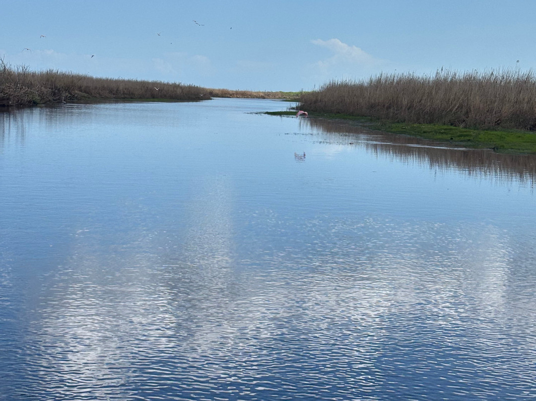 Airboat Rides Melbourne-墨尔本必去景点