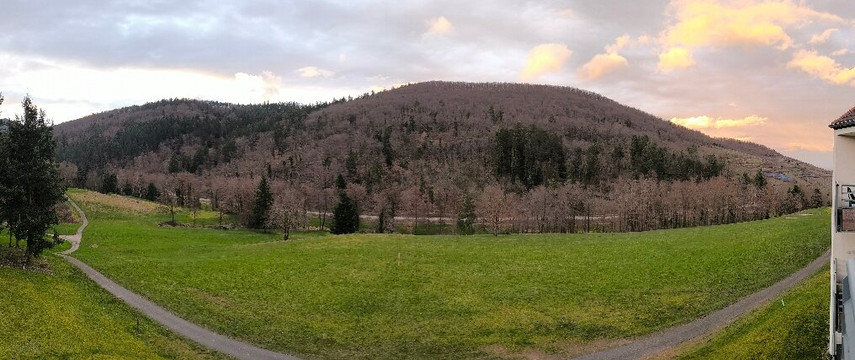 球场住宅酒店主图