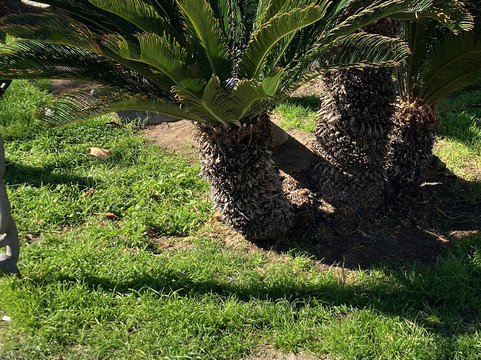 Ancla-阿尔特阿必去景点