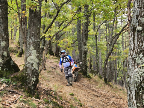 Trail Trips-锡比乌必去景点