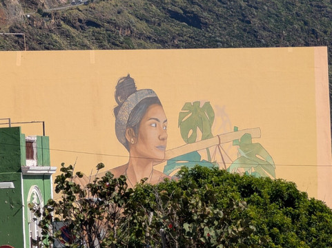 Calle O'Daly-巴尔玛圣库鲁斯必去景点