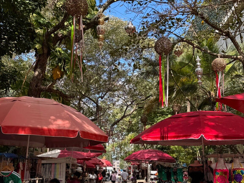 Parque Los Fundadores-普拉亚德尔卡曼必去景点