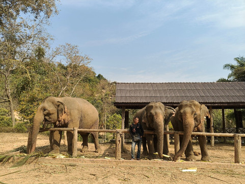 ORLA Tours Laos-琅勃拉邦必去景点