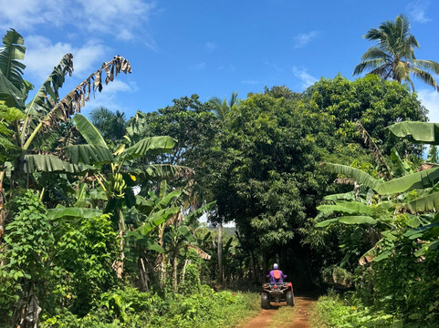 Joël and Ludi Excursions-Las Galeras必去景点