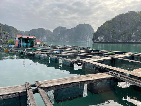 Cat Ba Ocean Cruises-广宁省必去景点