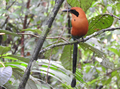 Allan Explorer-Upala必去景点