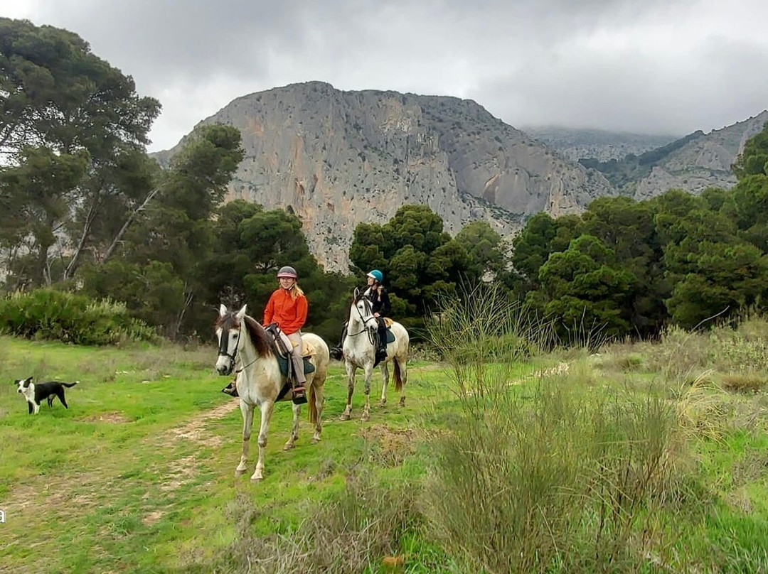 Horse Riding El Chorro-El Chorro必去景点