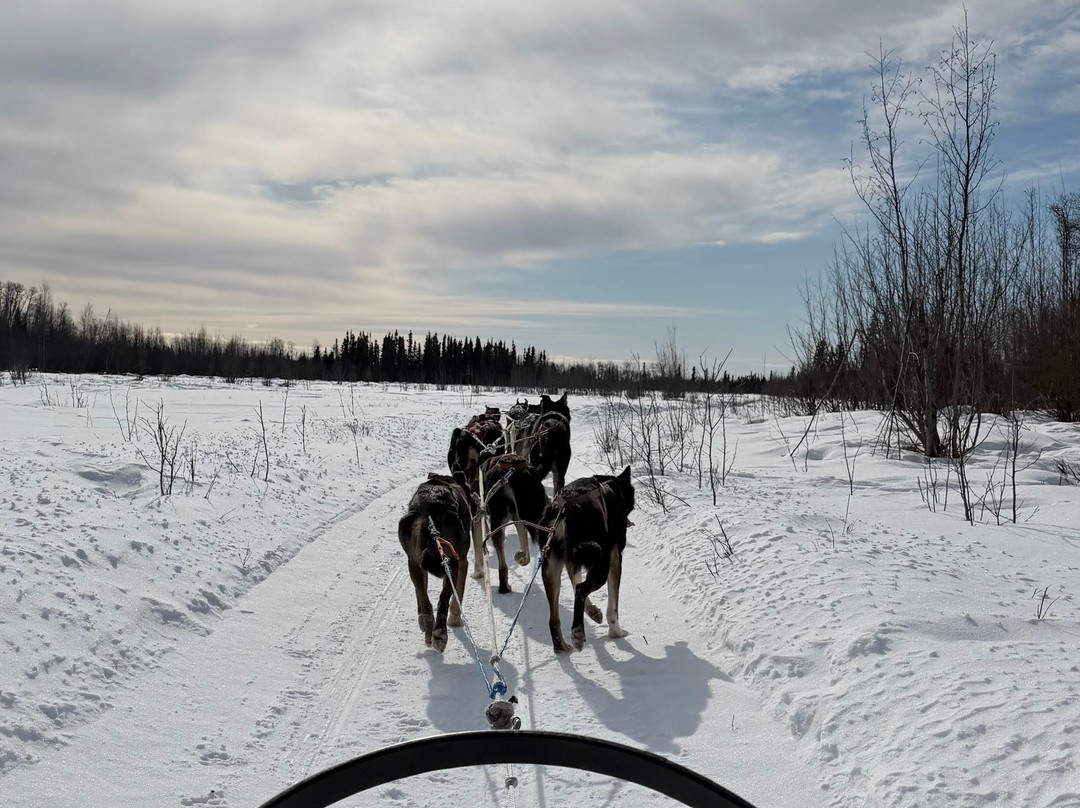 The Alaska Dogstead Mushing Company-Big Lake必去景点