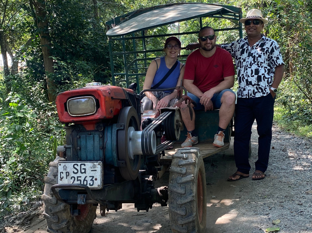 Relax Lanka Tours-尼甘布必去景点