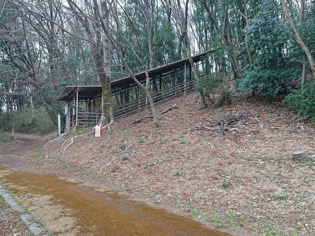 Remains of Oya Kawakara-东松山市必去景点