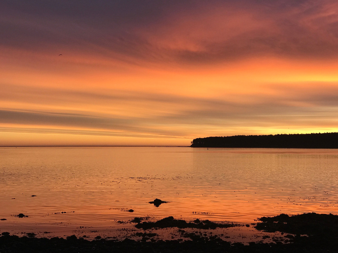 Kodiak Salmon Riders-Kodiak必去景点