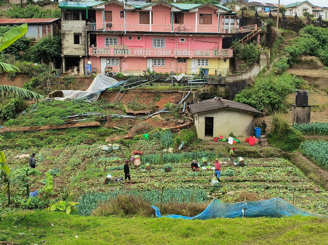 Max Tours / Max Walker Tours-Kandy District必去景点