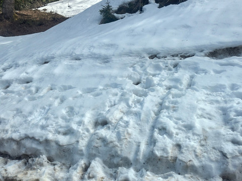 Himalayan walk Adventure-帕哈甘必去景点