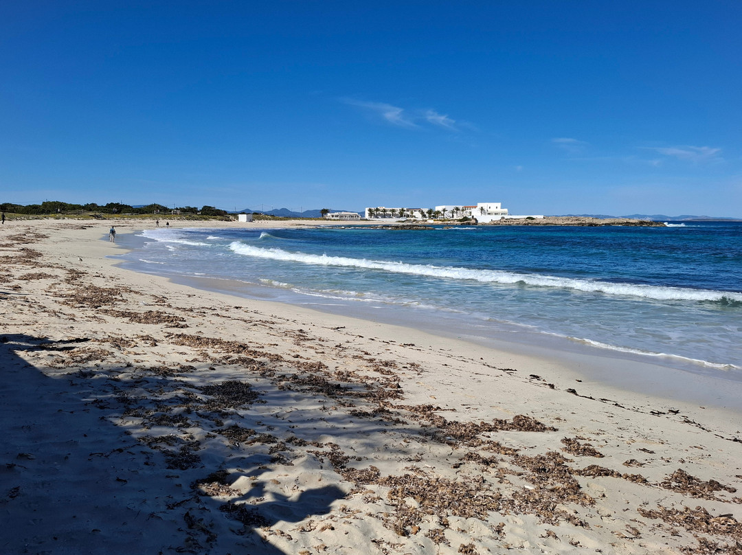 Far De La Mola-El Pilar de la Mola必去景点