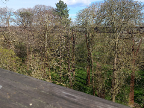Treetop Walkway-Richmond必去景点