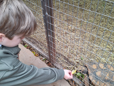 Monkey Park-洛斯克里斯蒂亚诺斯必去景点