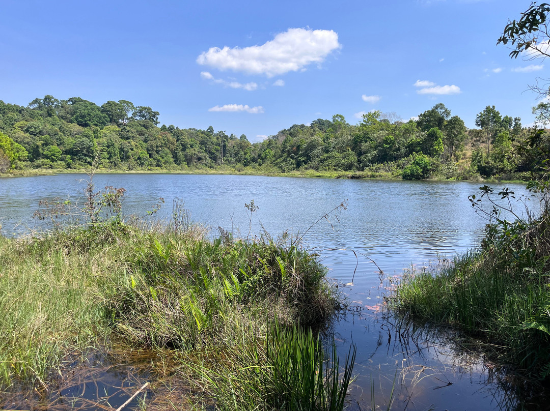 Bobby's Jungle Tours-北冲县必去景点