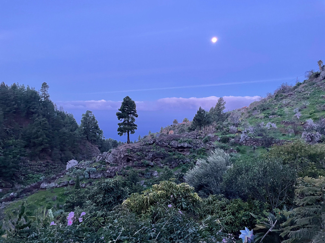 Vidyamor Yoga Retreats Canary Islands-Tijarafe必去景点
