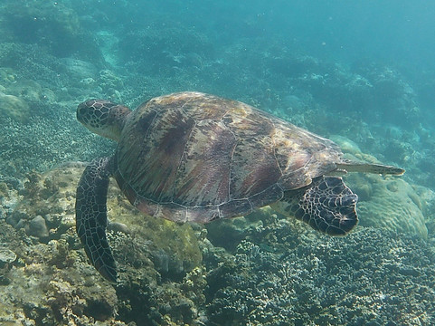 无限沙滩度假村主图