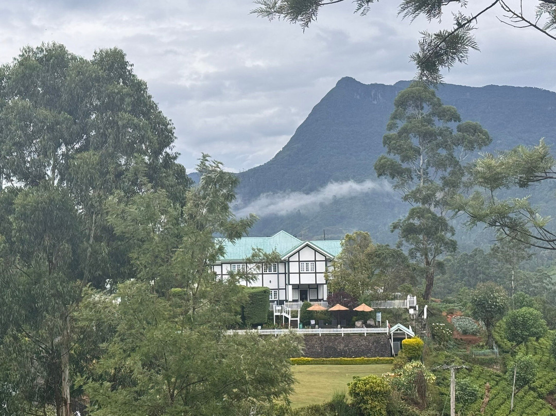 阿马亚朗戴尔精品酒店
