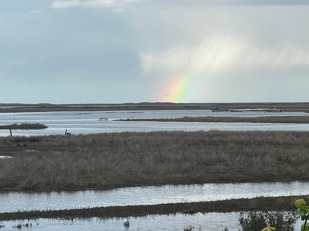 金崔普旅馆主图