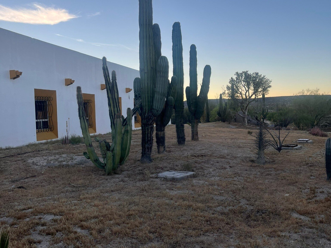 卡塔维纳米申酒店主图