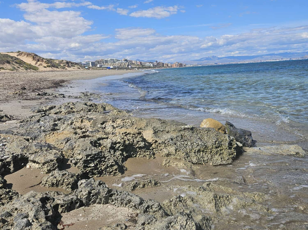 Platja Del Carabassí-埃尔切必去景点