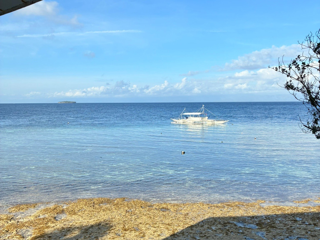 Panagsama Beach-莫阿尔博阿尔必去景点