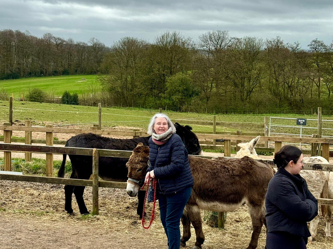 Charnwood Forest Alpacas-Boundary必去景点