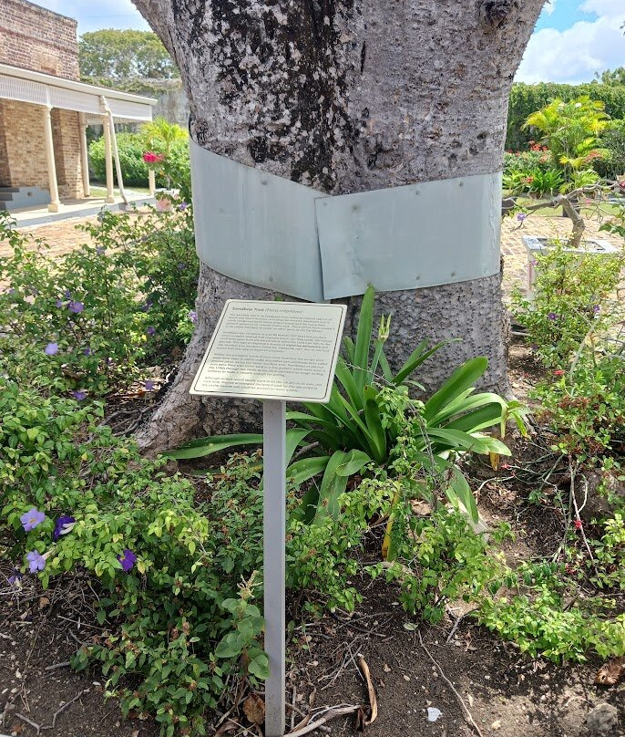 Barbados Museum & Historical Society-布里奇顿必去景点