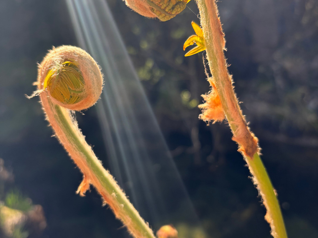 Ecotura, Ecotourism and Nature Retreats-Castro Laboreiro必去景点