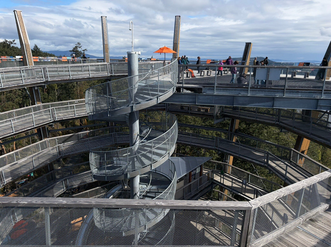 Malahat Skywalk-Malahat必去景点