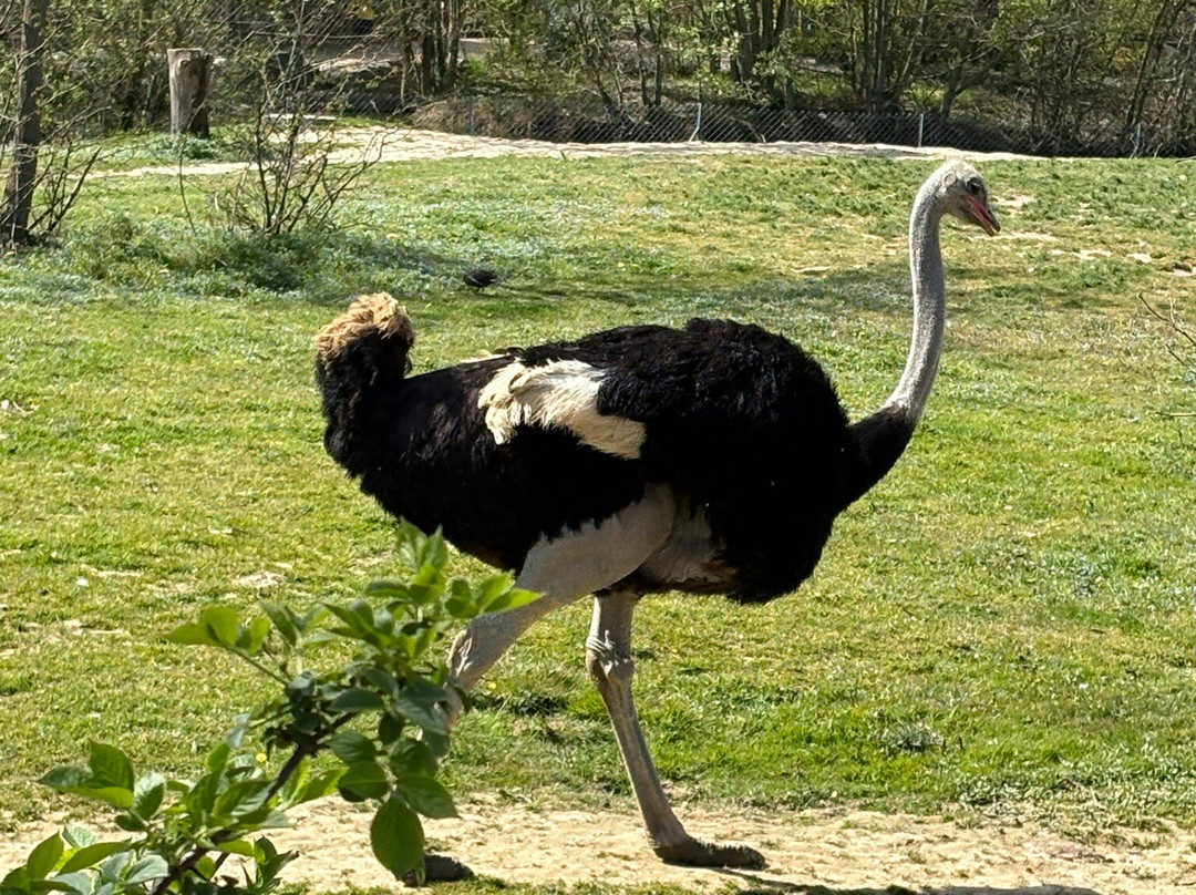 Parc Des Oiseaux-Villars-les-Dombes必去景点