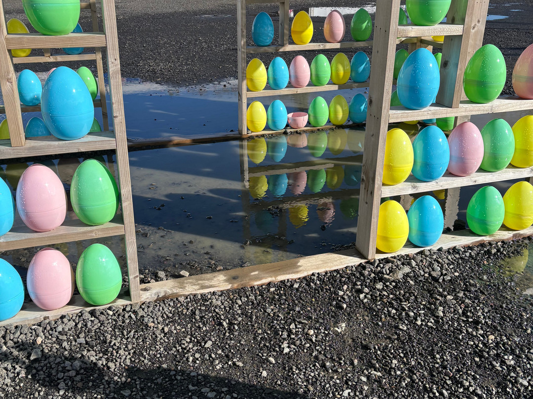 Conifox Adventure Park-Kirkliston必去景点