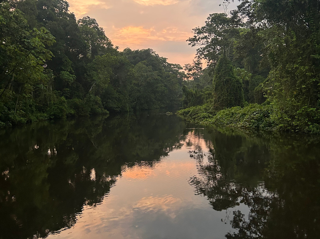 Selva Verde Tours-Misahualli必去景点