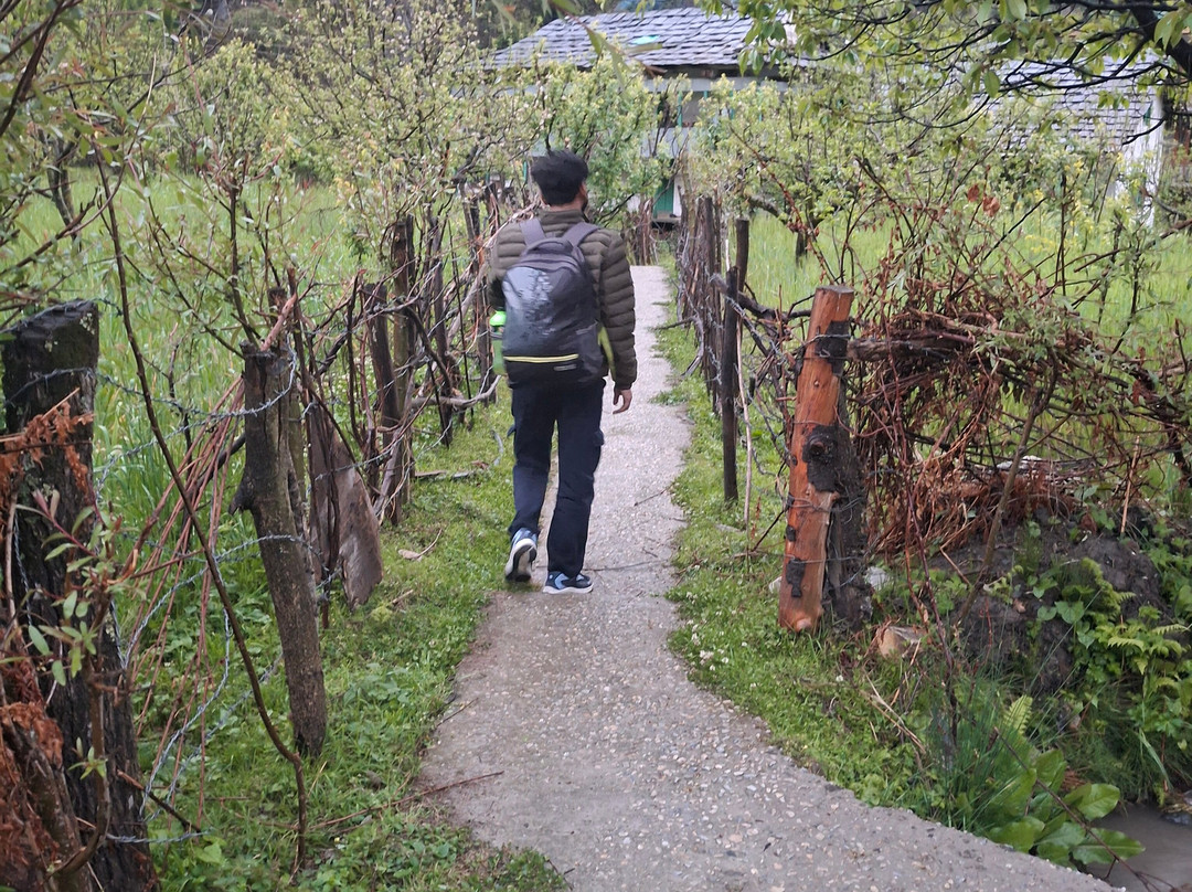 River View Home Stay , Banjar主图