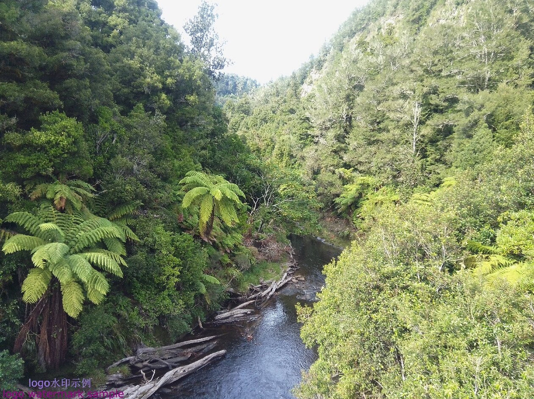 Whangamomona Hotel主图