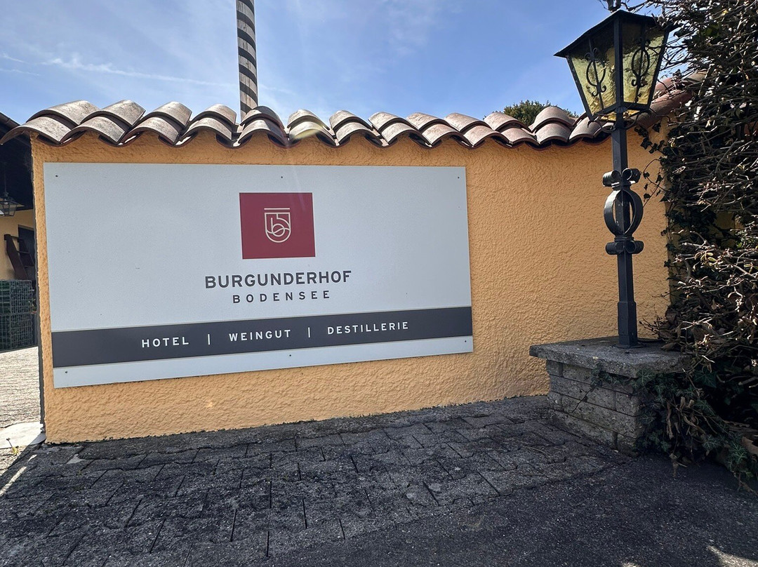 勃艮达霍夫酒店-限成人主图