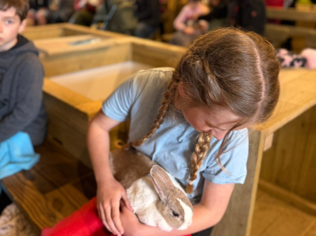 Pennywell Farm-Buckfastleigh必去景点