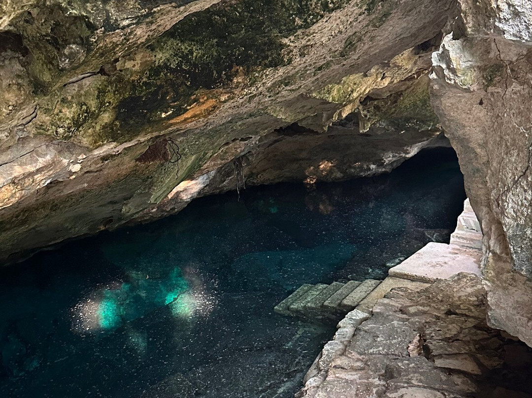 Pura Vida Diving-普拉亚德尔卡曼必去景点