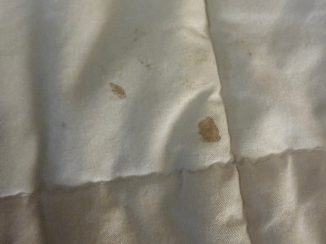 维罗纳万枫套房酒店主图