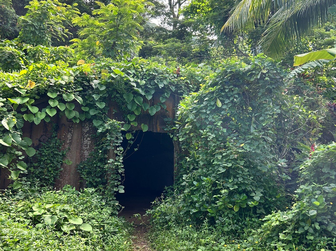 Poe Island Tour-Fare必去景点