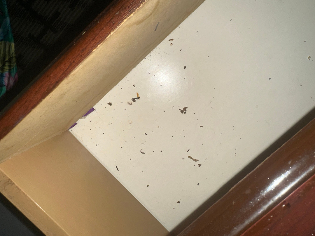 皮卡尤恩温德姆戴斯酒店主图