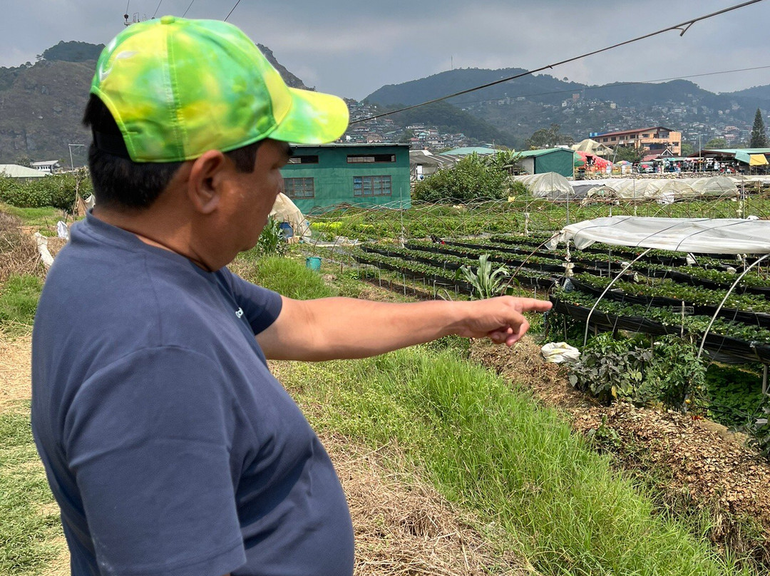 Strawberry Farm-La Trinidad必去景点